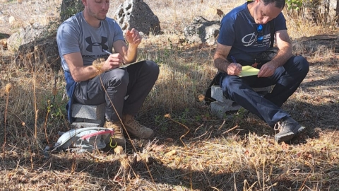 WhatsApp Image 2024-12-02 at 10.31.04.jpeg